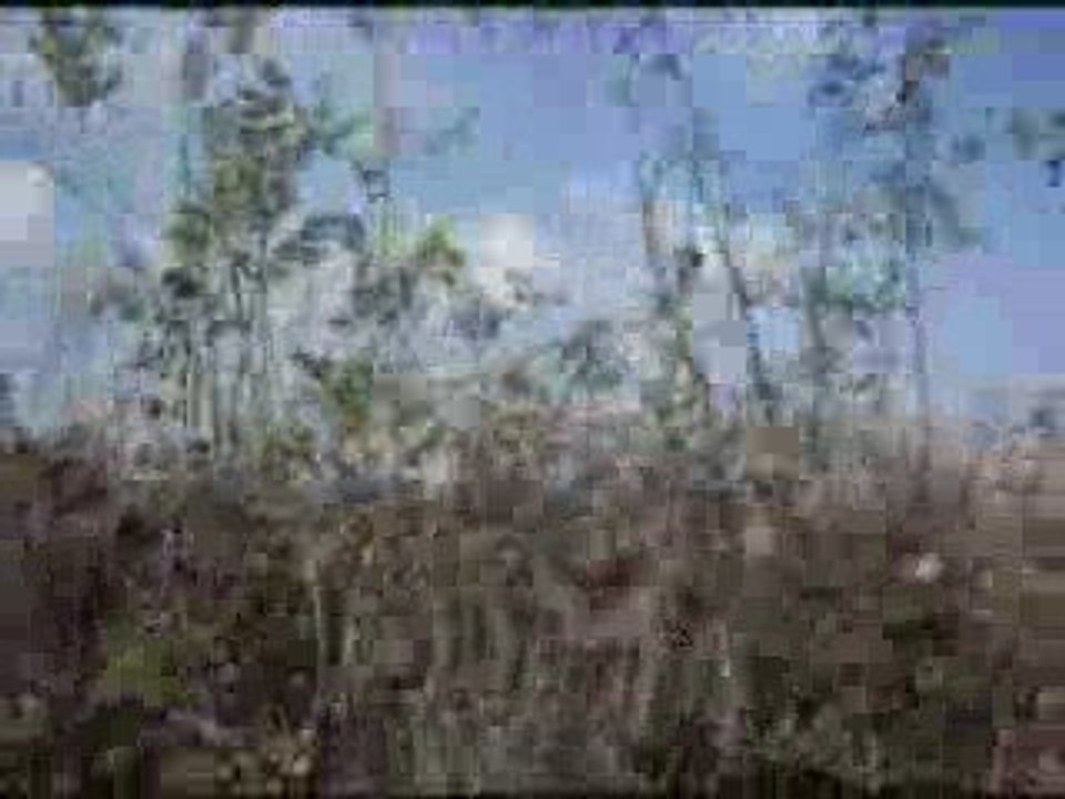 Attelage