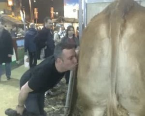 Les aventures de Mini_Episode 1 Au Salon de l'Agriculture p1