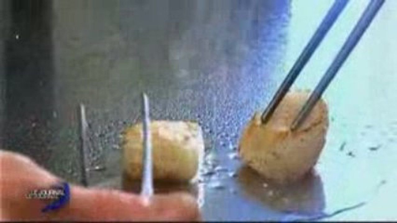 Saint-Gilles Croix de vie : Satisfaction des restaurateurs