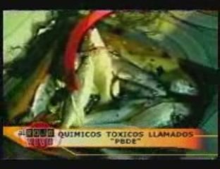 Telemundo: Toxic at Any Speed