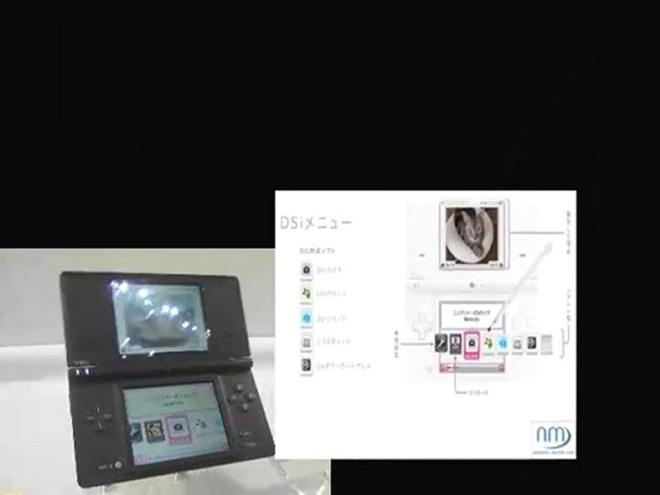 Nintendo dsi