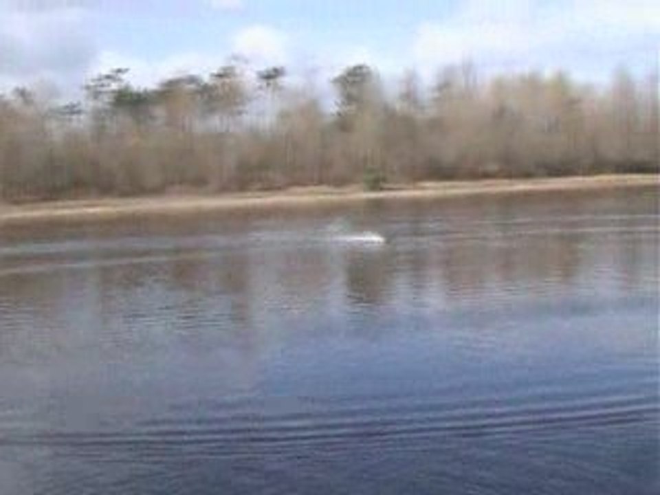 Invader carbone lac du moulin blanc le 11 mars 2009