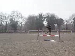 NoNo qui ce prend pour un cheval - pri par Laura