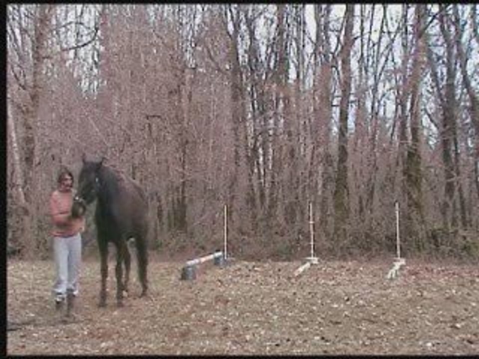 Tentative de saut (raté!)