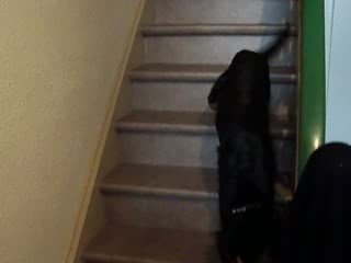 FOSSETTE descend escaliers