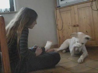 Cache toi, Biscotte et Delilah