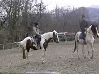 Moi & Saphir en saut 1 *
