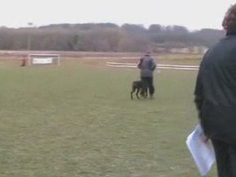 Viva Maria - Concours RCI à Roinville le 07/03/09, Obéissance (87/100)