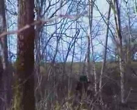 partie d'airsoft avec ATF 2