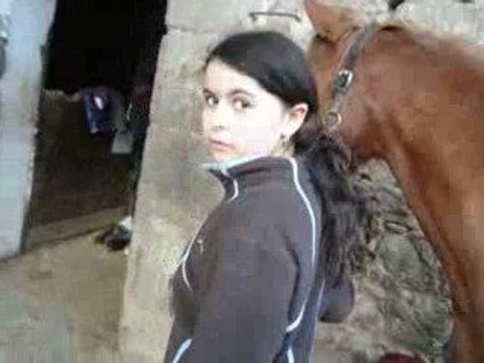 Cheval 015