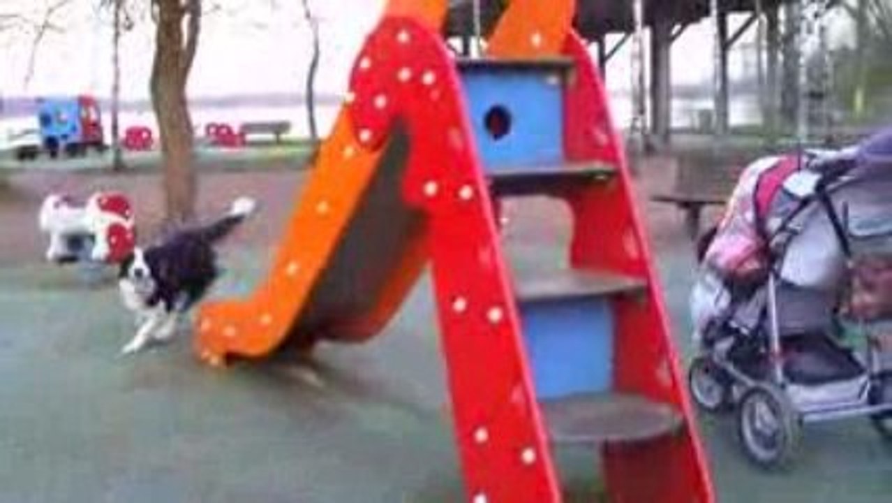 CLIP0003