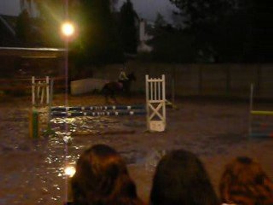 Romane et Elesys