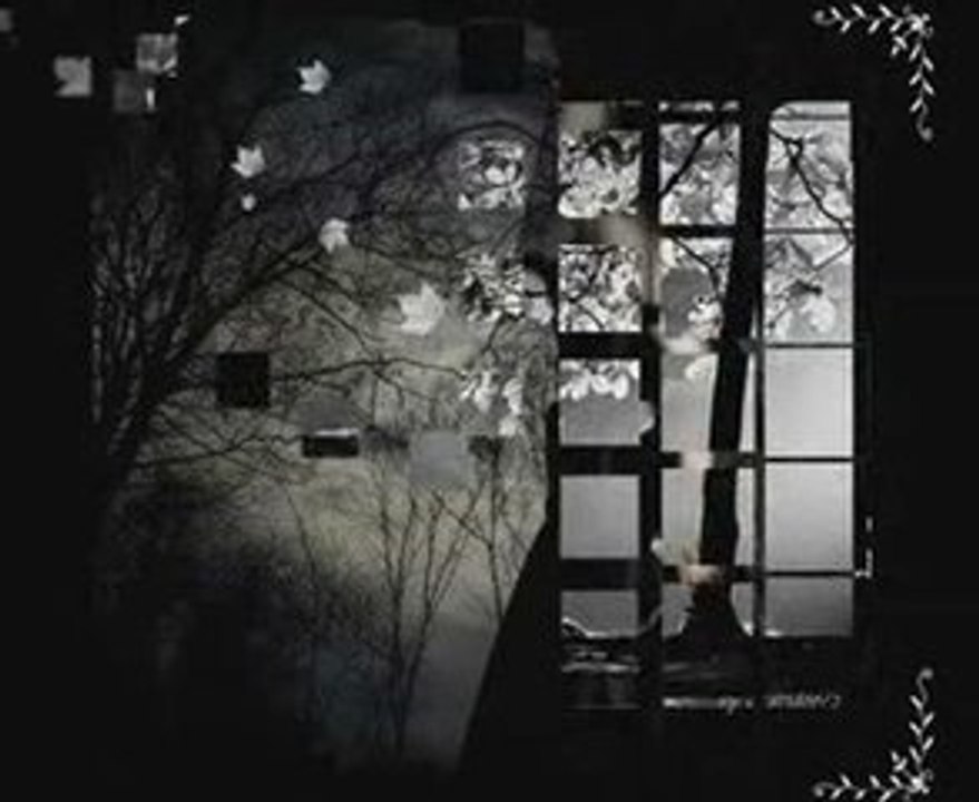 Olmaz Olsun Veysel ULUAGAÇ