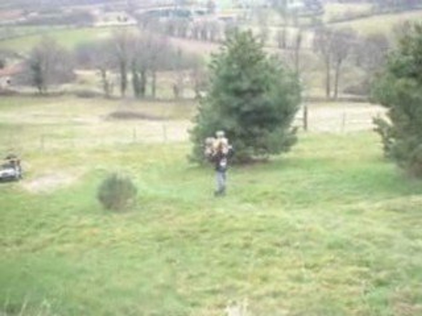 THE RACE