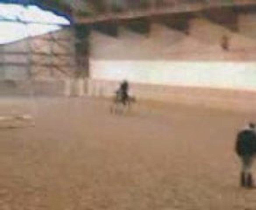 VID004