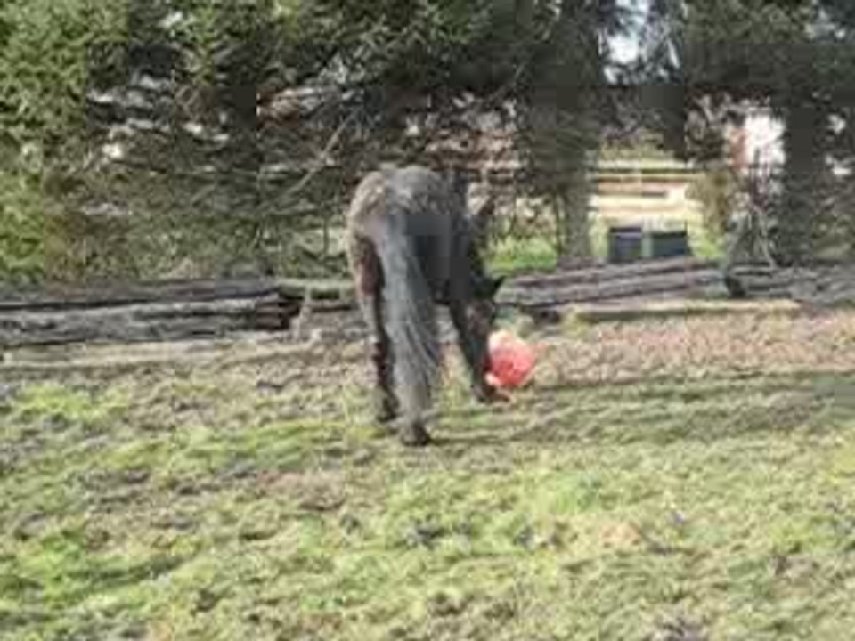 MVI_9054