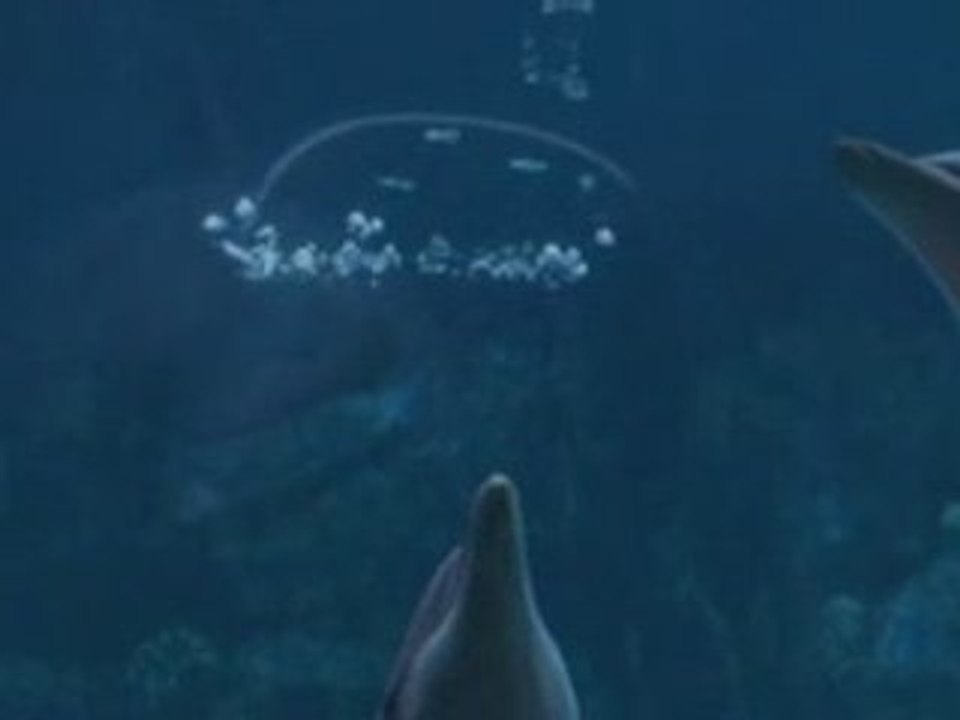 Bubble-blowing dolphins in Orlando