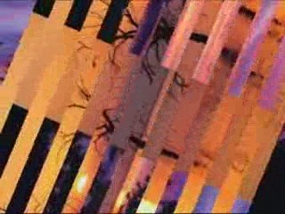 Nashid - Ya Akhy - par Meshary Al-Arada