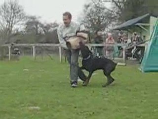 Mordant Diablo 12 03 09