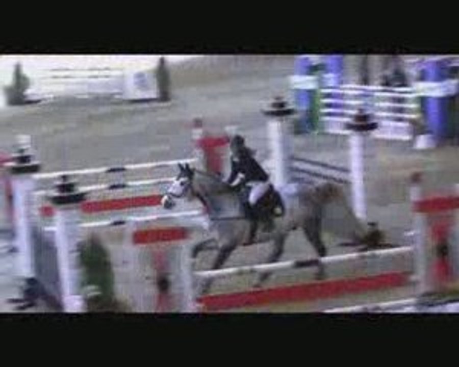 4 Wochen Wr. Neustadt - schön wars !