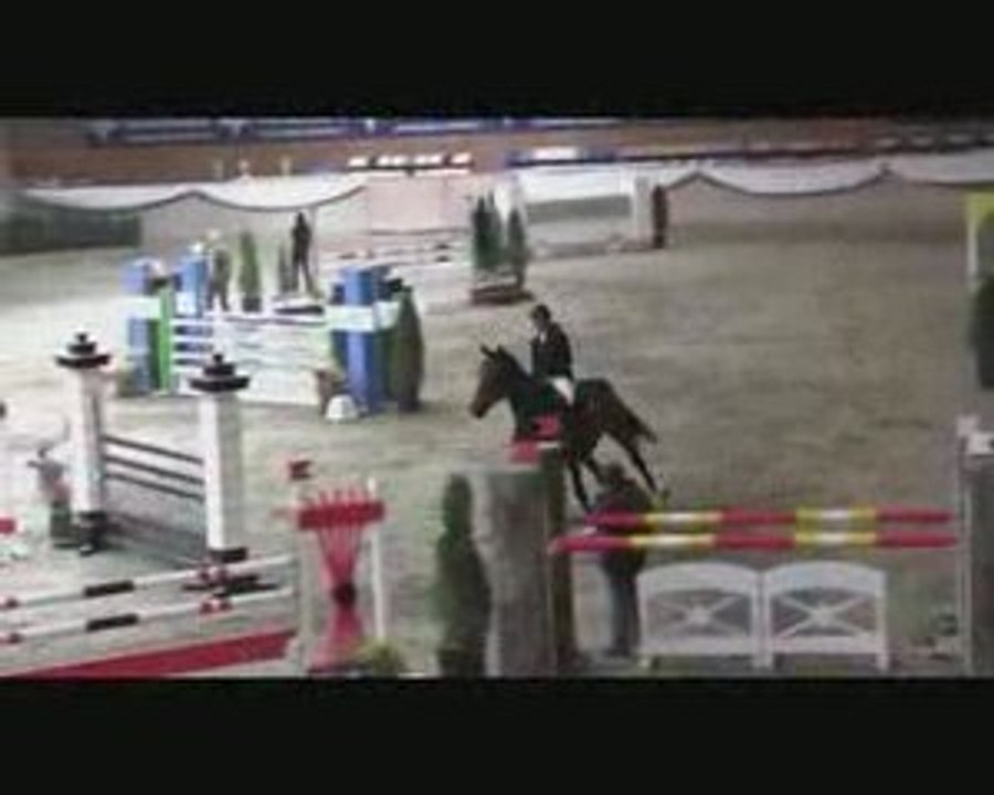 Bellini P CSN-A* Wr. Neustadt Standard LM