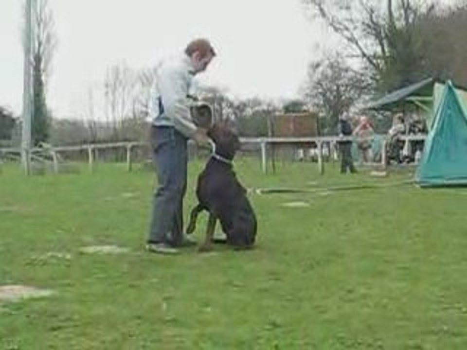 Mordant Diablo 12 03 09