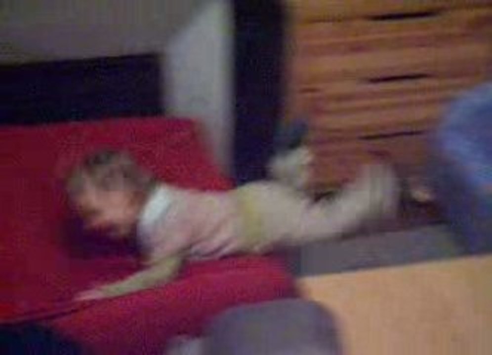 bubu cascades sur canapé