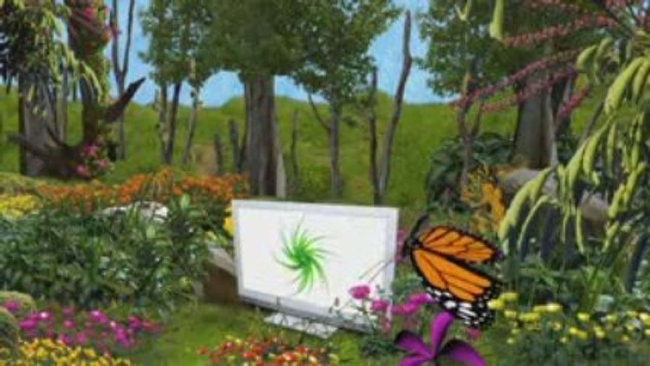 Video Sony W5 protection environnement