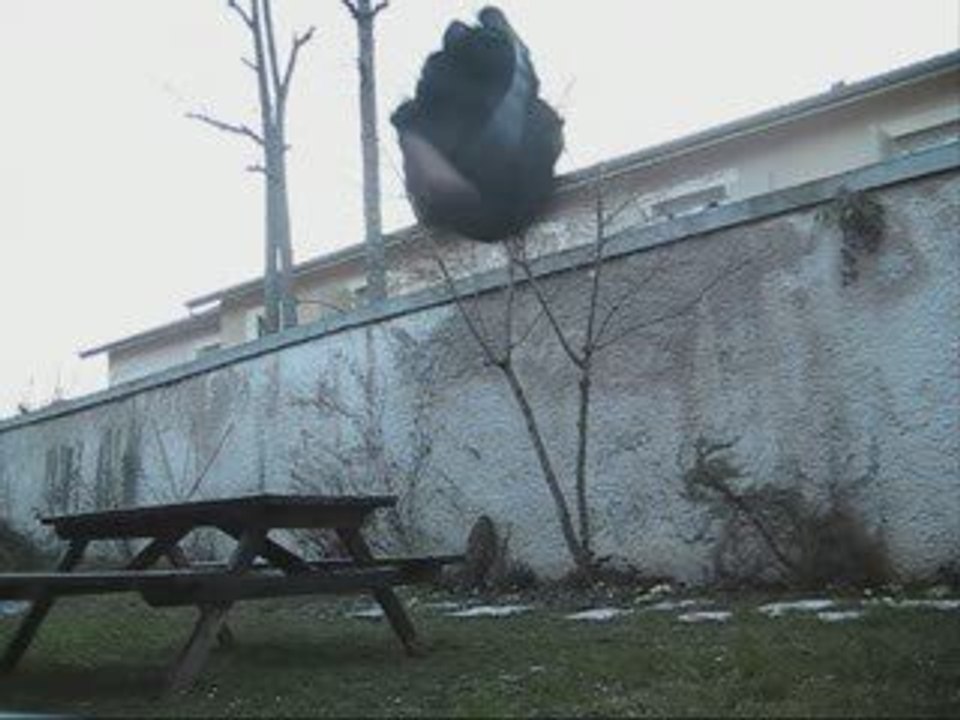 Lune de la table