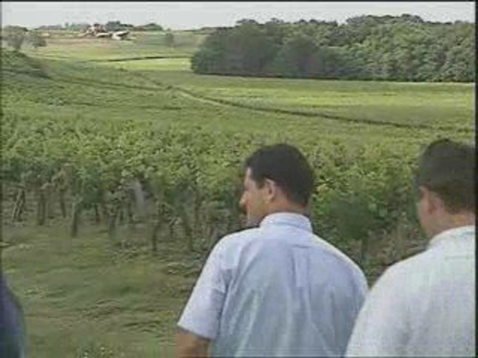 sommelier