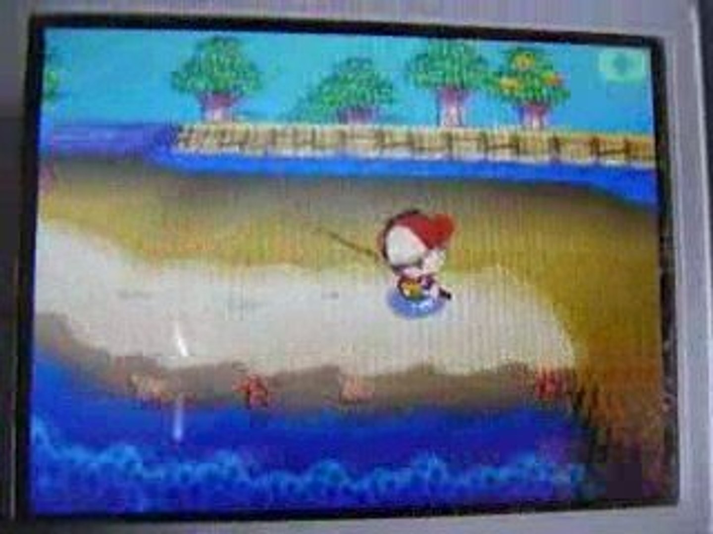 ⁣Vidéo teste animal crossing ( ds ) 3 partie