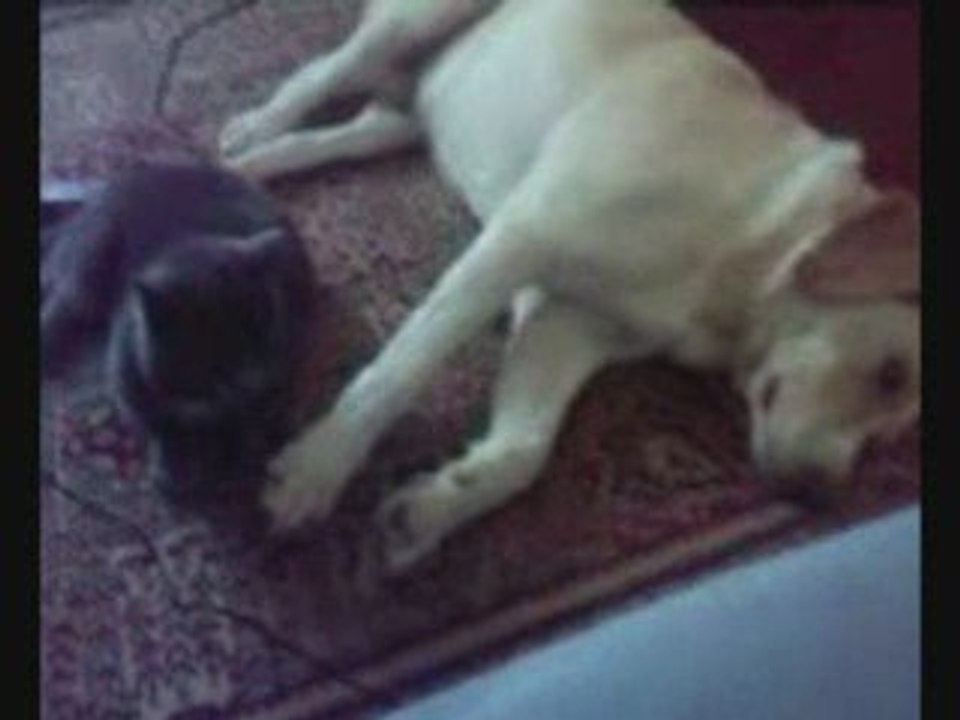 Boub & vivi