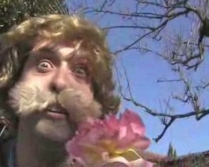 Cucurbitacée par Michel l'ingénieur informaticien