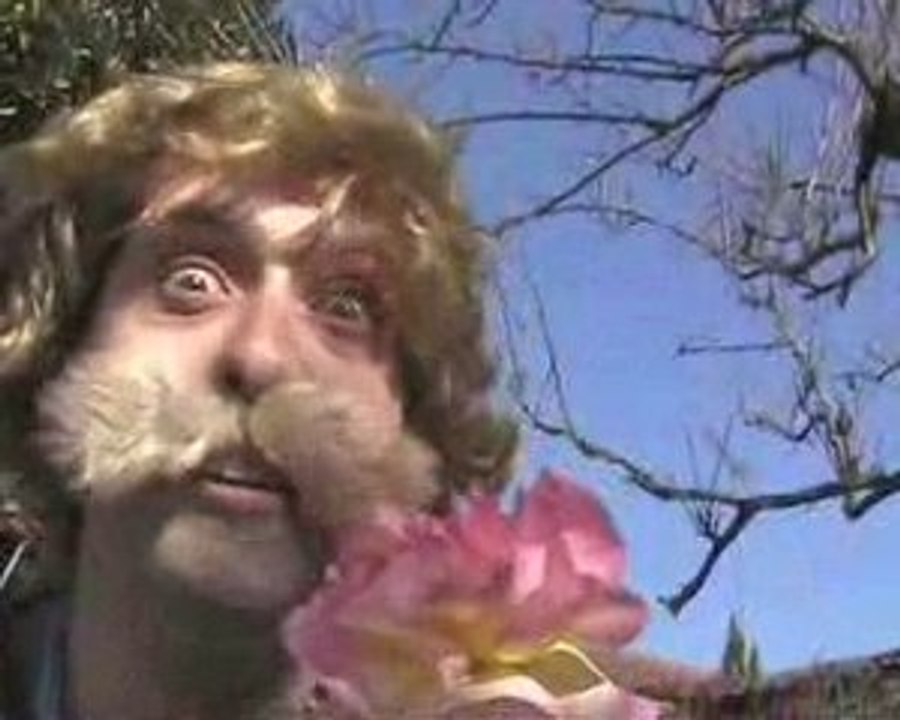 Cucurbitacée par Michel l'ingénieur informaticien