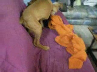 Djumbé et doudou sexuel 1