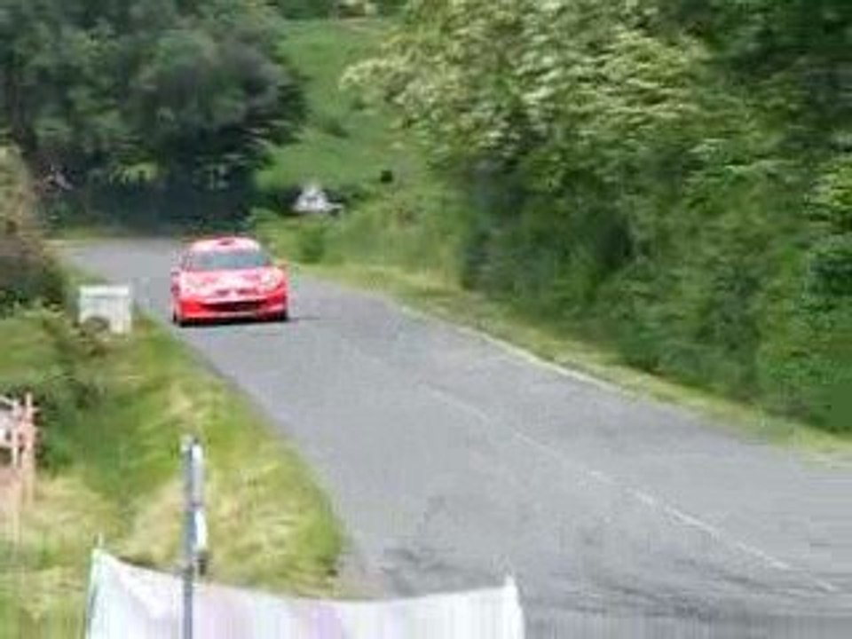 Grohens rallye des vins 2008 206 wrc