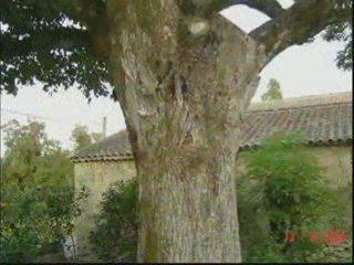 Nostalgie kabylie (hadi Dahmani)