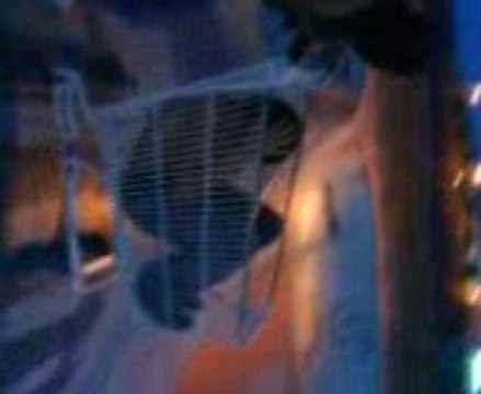 Sortie nocture délire avec un caddie de supermarché (974)