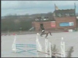 Sandillon 08 03 hon_0001