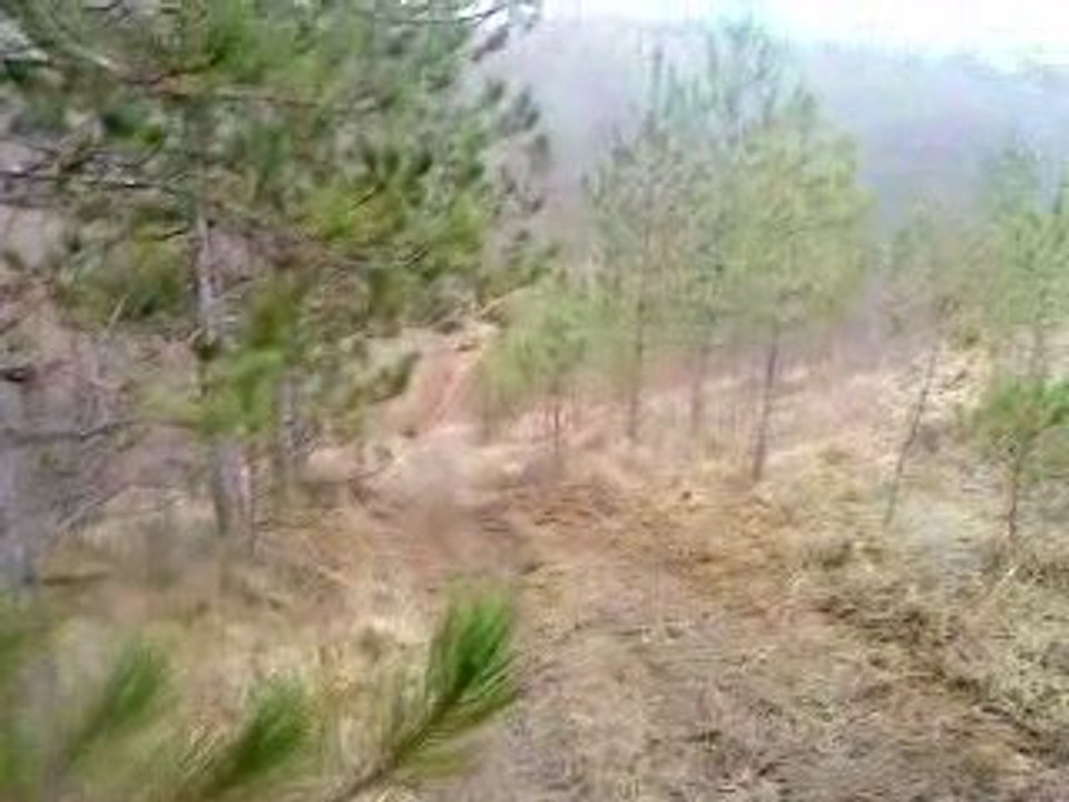 MOV00128