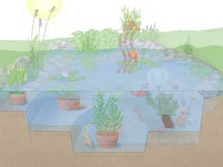 How to Winterize a Pond – The Home Depot