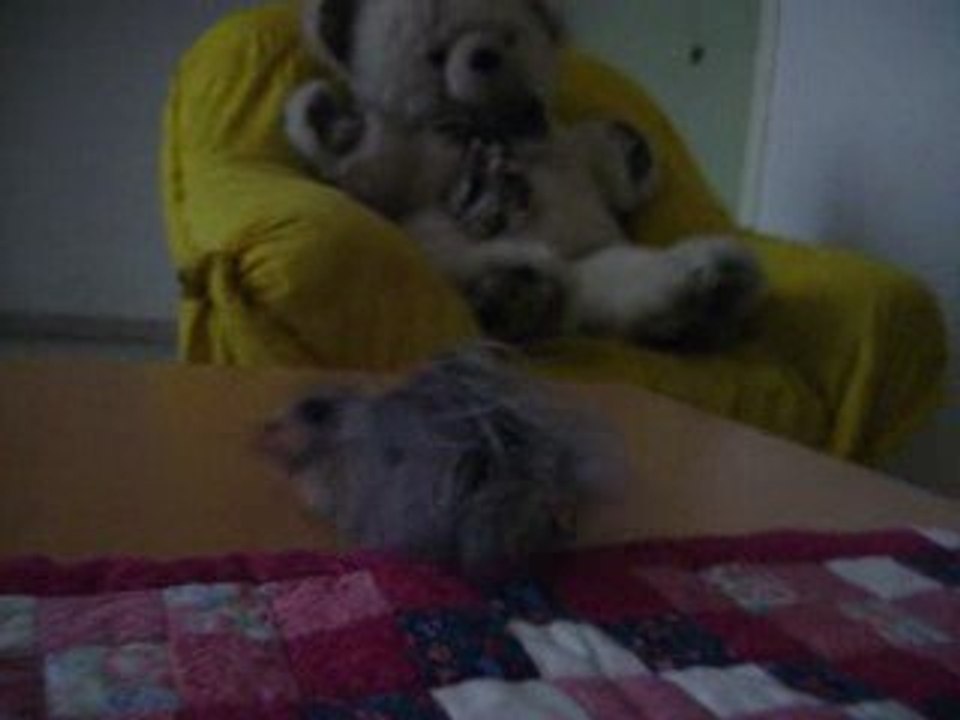 Grimpy, mon papy avec sa pomme