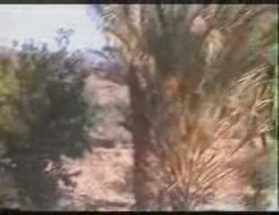 Timoulay ouaoumaloukt 2009.