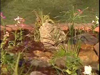 How to Install Water Garden or Pond Edging – The Ho...