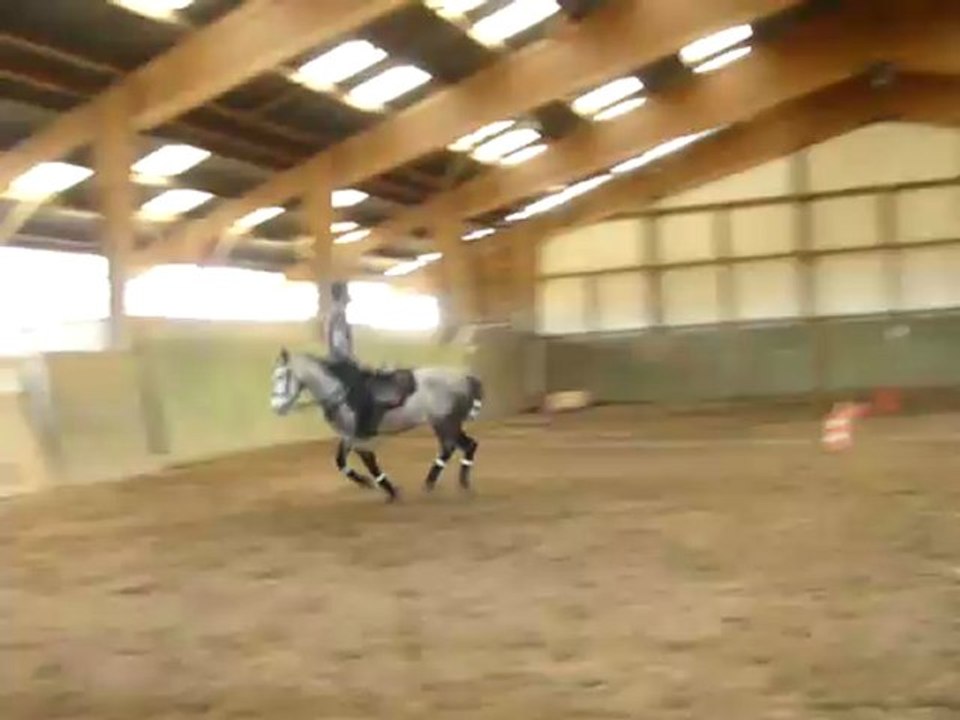 seance de voltige mars 2008