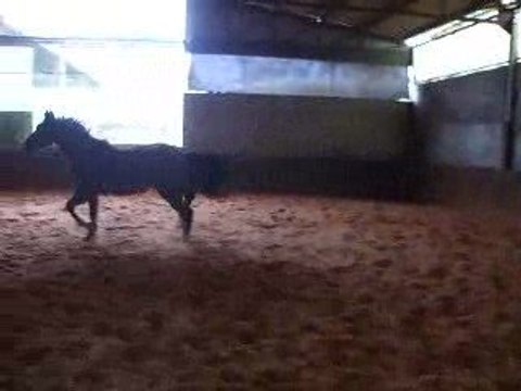 Opium du harveau en saut liberté