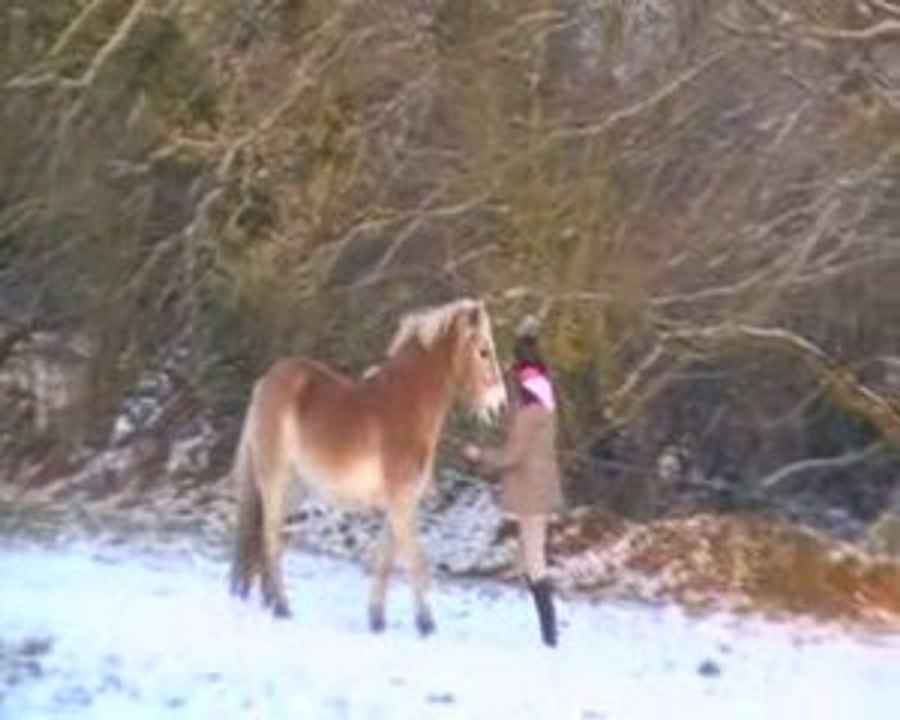 Seance dans la neige