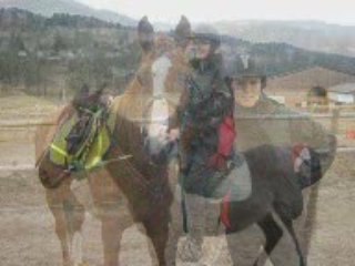 team rouchy endurance [ jabal arabian's ]