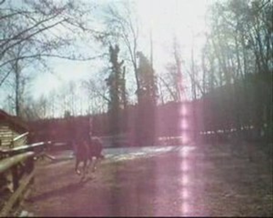 Premier galop