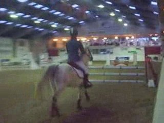 Clem et Moustique (11)